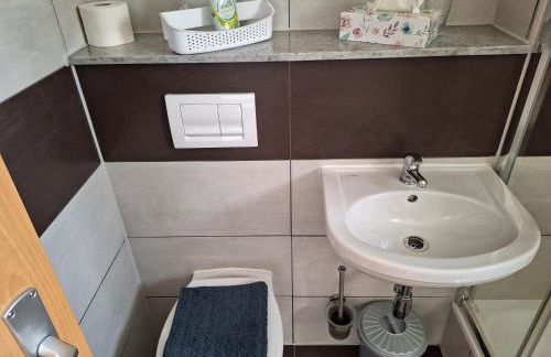 Gaststätte und Pension Zur Schiene - Foto 18