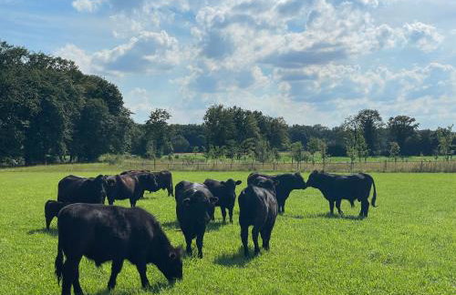 Hof König - Foto 12