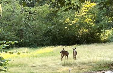 Whispering Pines Farmhouse - Foto 4