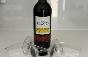 House Rio Almada - Foto 7