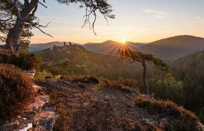 Holiday Apartment Glockenhorn - Photo 17