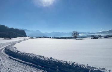 Penthouse im Dachgeschoss - Foto 34