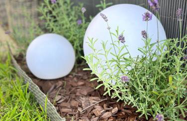 Uroczy apartament z ogrodem - Foto 12