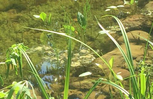 Uroczysko Ruczaj - Foto 8