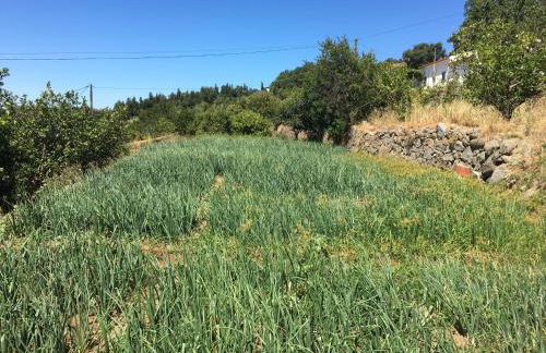 Casa da Nave - Foto 42