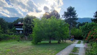 Koti Mountain House - Photo 4, Garden, Garden view
