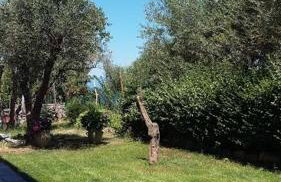 Sea-esta 2 - Foto 24