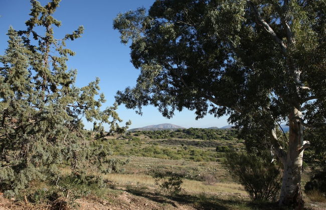 Libra - Luxurious Sea View Apartment - Foto 43