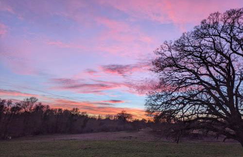 Meadow Valley Lodge 1 - Foto 28