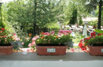 Agriturismo La Quiete - Foto 36