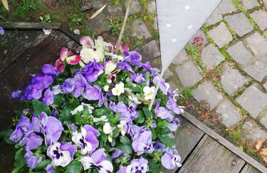 idylische Ferienwohnung - Foto 24