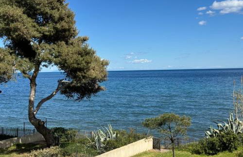 Appartement n 302 moriani plage - Foto 28