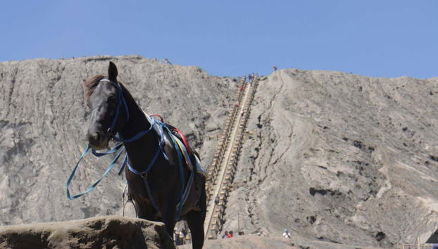 Mount Bromo Private Hiking Activity - Foto 5