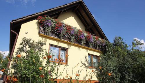 Haus Ziegler - Foto 1, Garden