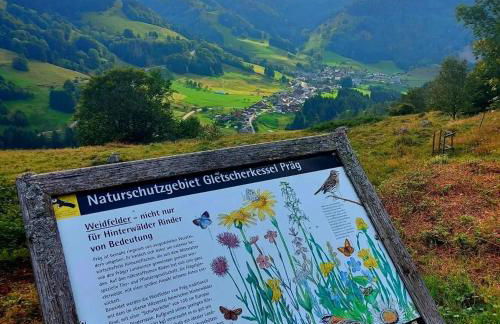 Haus Hees - Urlaub im Gletscherkessel Präg - Foto 37