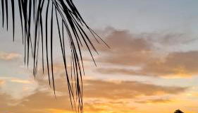 Villa Holística - Photo 4