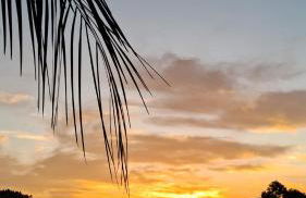 Villa Holística - Foto 4