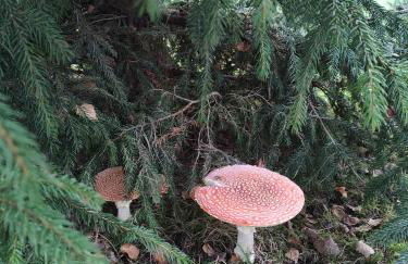 Pools, Sauna und Balkon mit Panoramablick - Foto 60