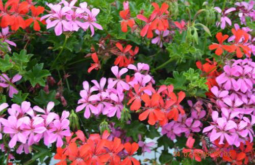 Villa Merzbach - Wohnen wie im Museum mit Komfort - Foto 3