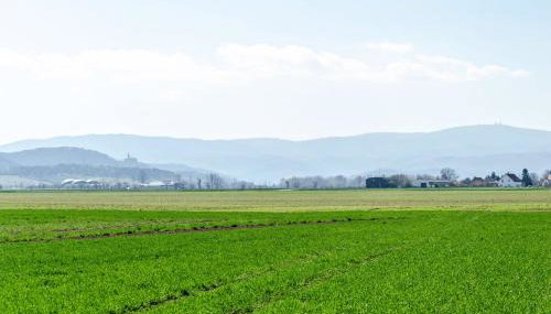 Ferienhaus am Park - Foto 4
