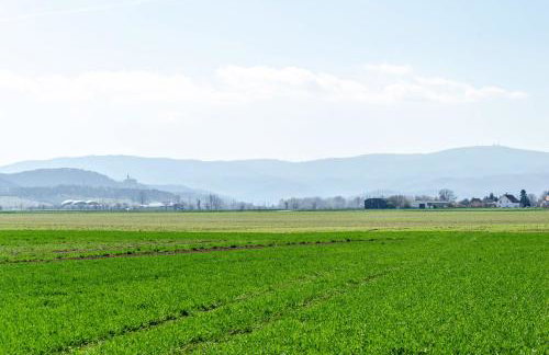 Ferienhaus am Park - Foto 4