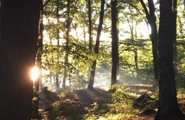 Apartament Pod Kasztanami - BIAŁY - Foto 27