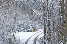 Wiśniowe Zacisze - Agroturystyka - Photo 51