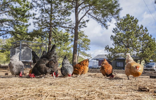 Cowboy Quarters - Foto 32