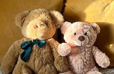 Cosy Camden 1 Bedroom Terrace Apartment - Foto 16