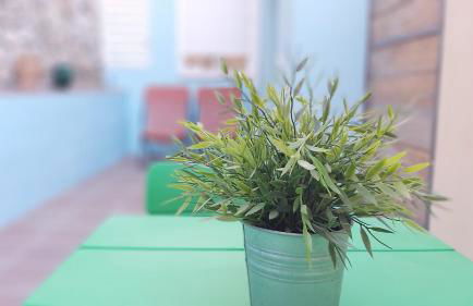 Del Parque Flats Pina Beach - Photo 27