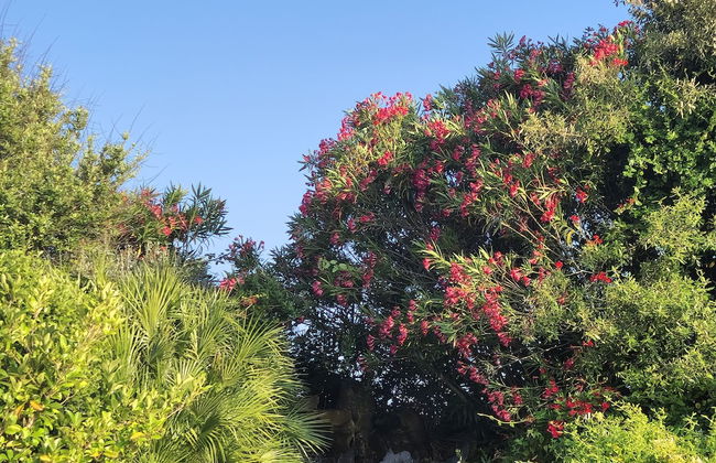 Tenute Delogu - Foto 33