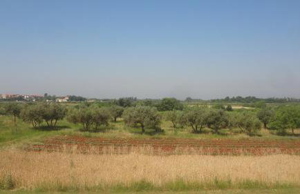 Apartments Ždravac - Photo 12