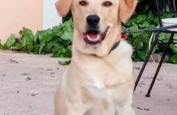 Tratturo dei Greci, biocasa vacanza - Foto 72