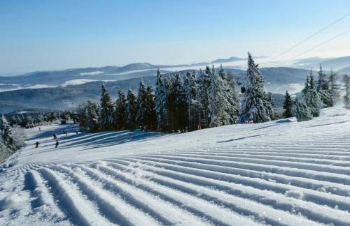 APARTAMENTY Adamcykówka blisko stoku Czorsztyn-Ski! Jacuzzi i Sauna w cenie! - Foto 11