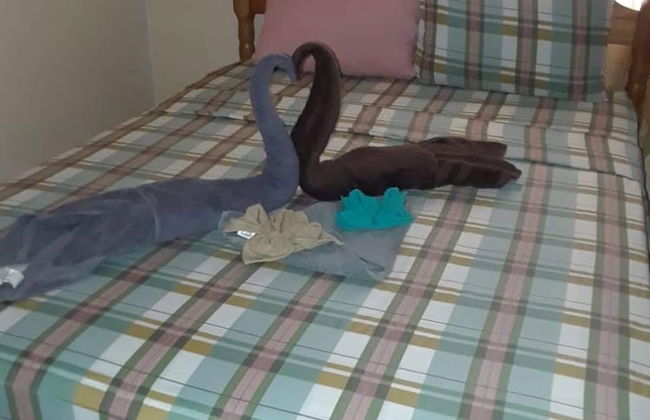 MaFlo Arms Apartments - Foto 6