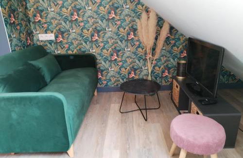 Appartement cosy 1 chambre Saint-Malo - Foto 1