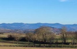 La maison vigneronne - Foto 32