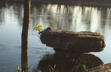 White River Landing - Foto 54