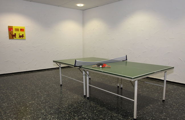 Ferienwohnung Riefenbach - Foto 12