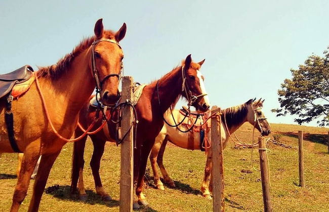 Hotel Fazenda Menino da Porteira - Foto 22