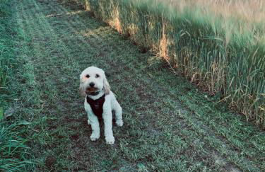 Boundary Cottage - Foto 12