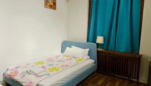 Train Fans Plus - Foto 3