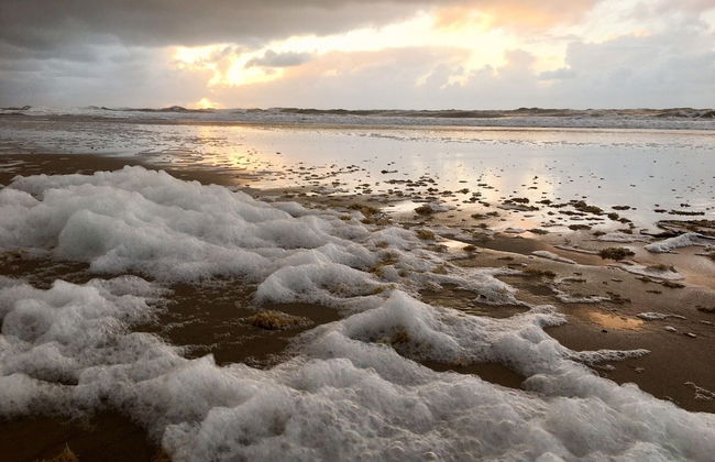 Relax Cozy Dirkshorn Stay - Photo 28