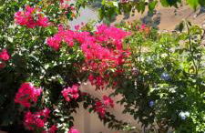 LA POSADA DE LA MUELA - Photo 77