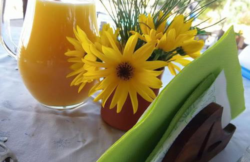 Ninho Da Poupa - Foto 61