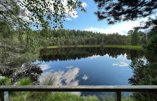 Apartment Schwarzwald-Anni Pool Tennis Sauna - Foto 42