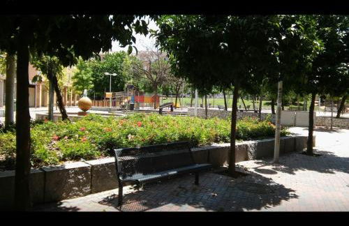 Golondrina - Foto 10