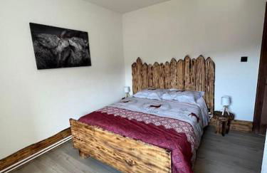 Gîte des douze mulets - Foto 19