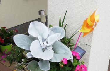 Fewo Rügen Böttger - Foto 9