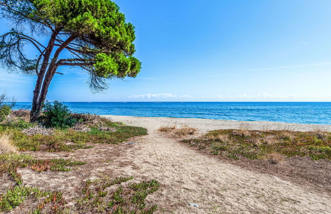 Maison Gerard - Photo 42